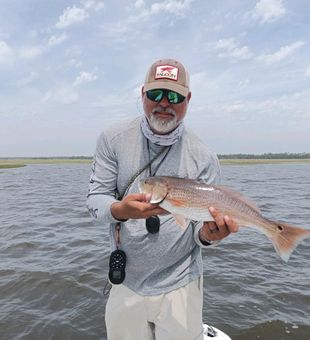 Redfish prowls the shallows of Deadman's Bay.