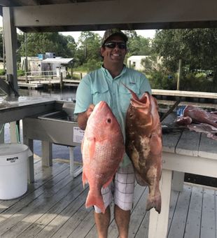 Red Snapper and Red Grouper - Panacea, FL