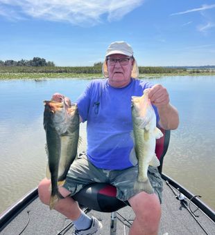 The fish are waiting.