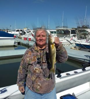 Lake Erie fishing charter 🎣 Proud walleye catch!