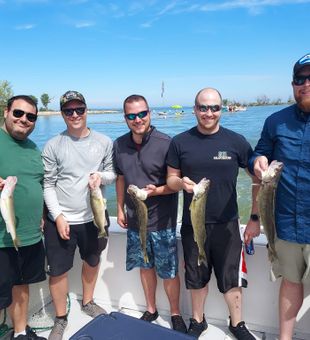 Lakeside Marblehead walleye success with limits reached!