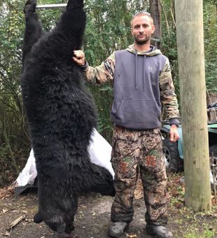 Congrats on this 243 lb bear in North Carolina!