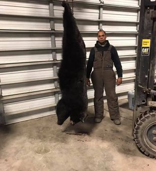Bear Hunts North Carolina