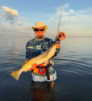 Sunrise redfish action on the flats.