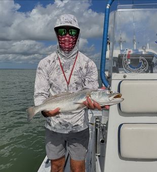 Impressive speckled trout catch in South Padre Island waters.
