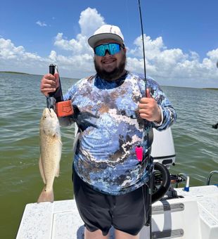 Coastal catch on a clear day.