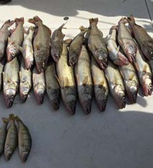 Fishing fun on Lake Eerie!