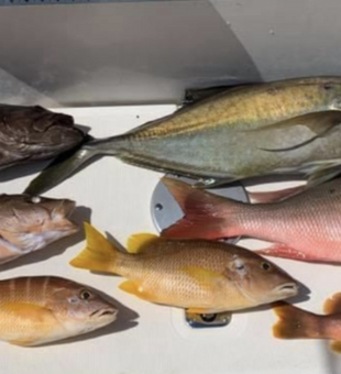 Hook, Line, and Sinker: Fishing Miami FL Style!