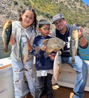 Kids had to take a photo with this Calico Bass