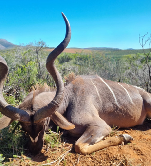 Florida hunting trips with expert guidea