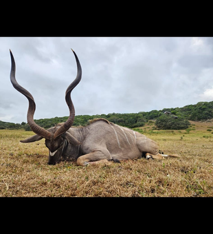 Experience the thrill of Florida hunting