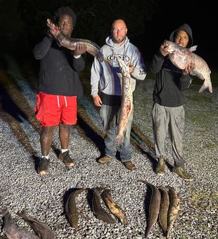 Exciting bowfishing trips every outing.
