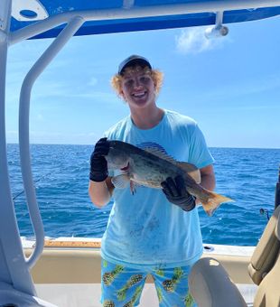 Tarpon Springs, FL's Grouper Trip