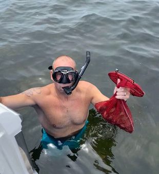Best Scalloping in Tarpon Springs, FL
