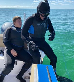Diving in Tarpon Springs, FL