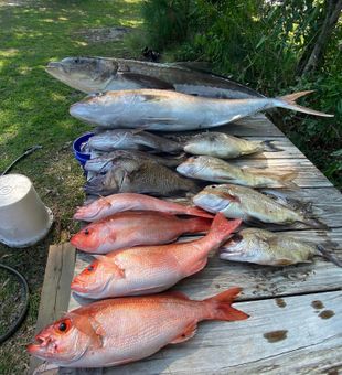 Lots of Prized Catches with Morehead City Fishing!