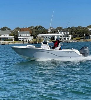 Sail into Serenity: Morehead City Fishing Bliss