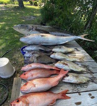 Morehead Fishing Trips