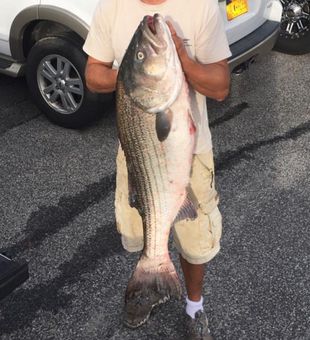 Smiles and striped bass: the perfect catch in NY