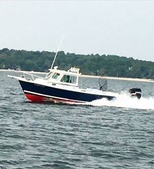 Reel in the excitement on our fishing charter!