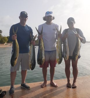 Mahi-mahi in Dorado