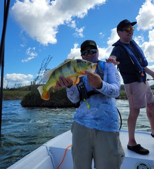 amazing Peacock bass!