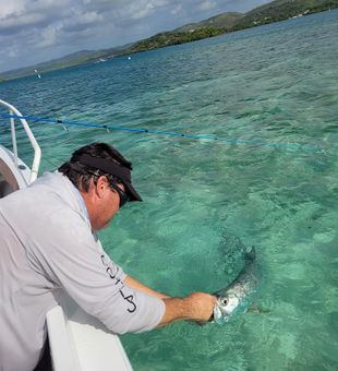 Vibrant tarpon catch in crystal-clear shallows