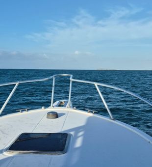 Ready for action on Dorado's fishing grounds!