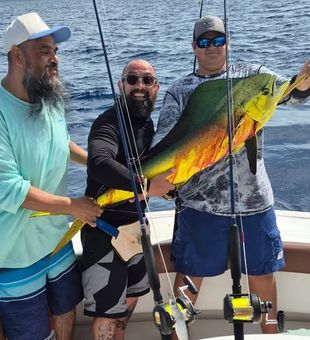 Mahi-mahi catch! La Parguera, Puerto Rico