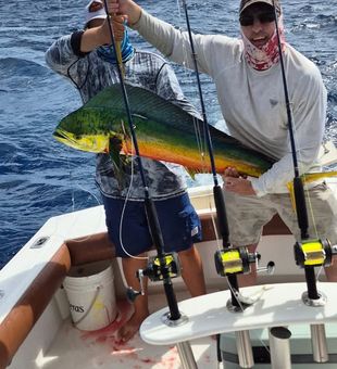 Offshore Adventure! - La Parguera, Puerto Rico