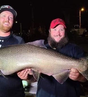 Monster Chinook salmon from Racine Wisconsin waters!