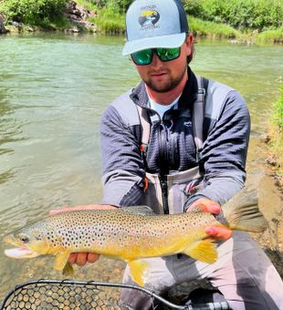 Catching a brown trout in Montana