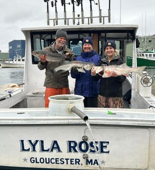 Gloucester's Finest Striped Bass Fishing Trip