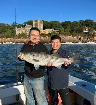 Gloucester Monster Striper