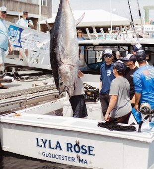 Lyla Rose Fishing Charters