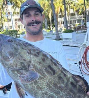 Majestic Grouper Capture In Fort Lauderdale, FL