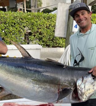 Tuna Spectacle In Florida Waters