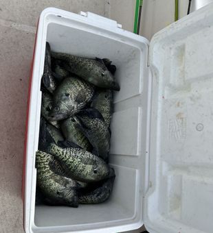 Stacked cooler!