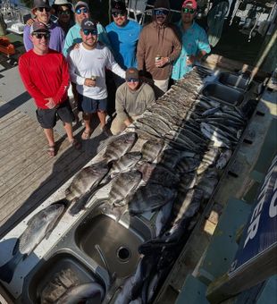 Look at that Sheepshead Haul! - New Orleans, LA.