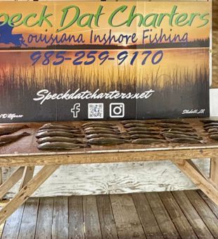 Another successful Louisiana inshore fishing charter trip!