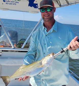 Beautiful speckled trout from Slidell Louisiana waters!