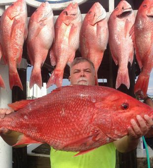 Red snapper jackpot with this awesome Angler.