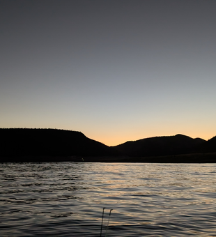 Clear skies promise a perfect day for fishing in Morristown!