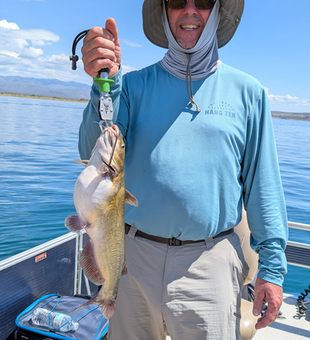 Reeling in a Brown Bullhead on a clear day in Arizona!