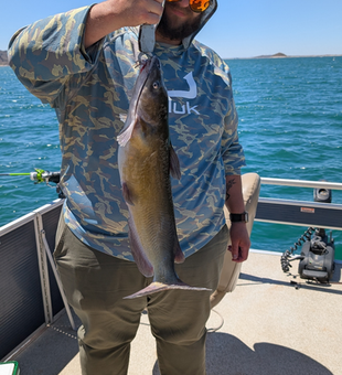 Nice Lake Pleasant channel catfish on deck!