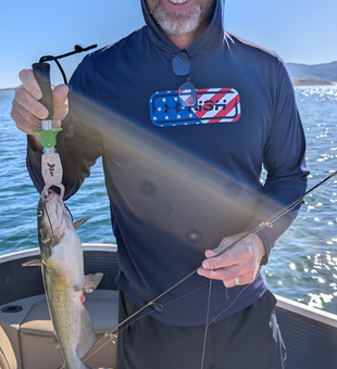 Lake Pleasant channel catfish ready for the cooler!