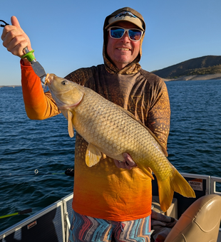Beautiful Lake Pleasant Common Carp makes for perfect fishing!