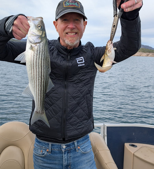 Double striped bass success at Lake Pleasant!