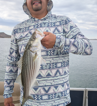 Lake Pleasant striped bass showing off those classic stripes!