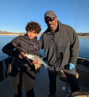 Nice Lake Pleasant striped bass on light tackle!